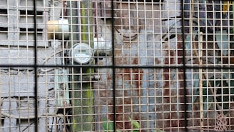 A metallic grid obscures the view of an old utility meter mounted on a rough concrete wall. The wall shows signs of wear, with exposed wires and discolored patches. Some green vegetation is visible through the grid, adding a contrast to the industrial setting.