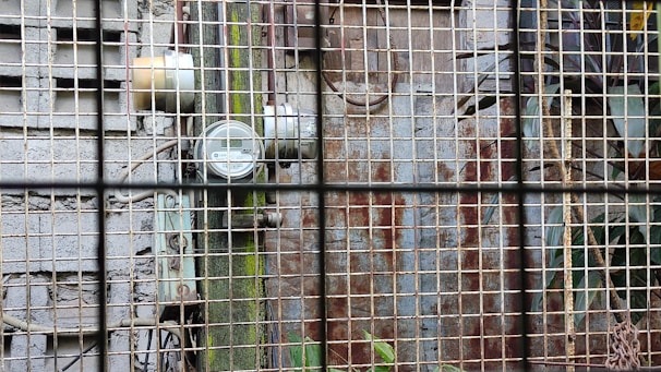 A metallic grid obscures the view of an old utility meter mounted on a rough concrete wall. The wall shows signs of wear, with exposed wires and discolored patches. Some green vegetation is visible through the grid, adding a contrast to the industrial setting.
