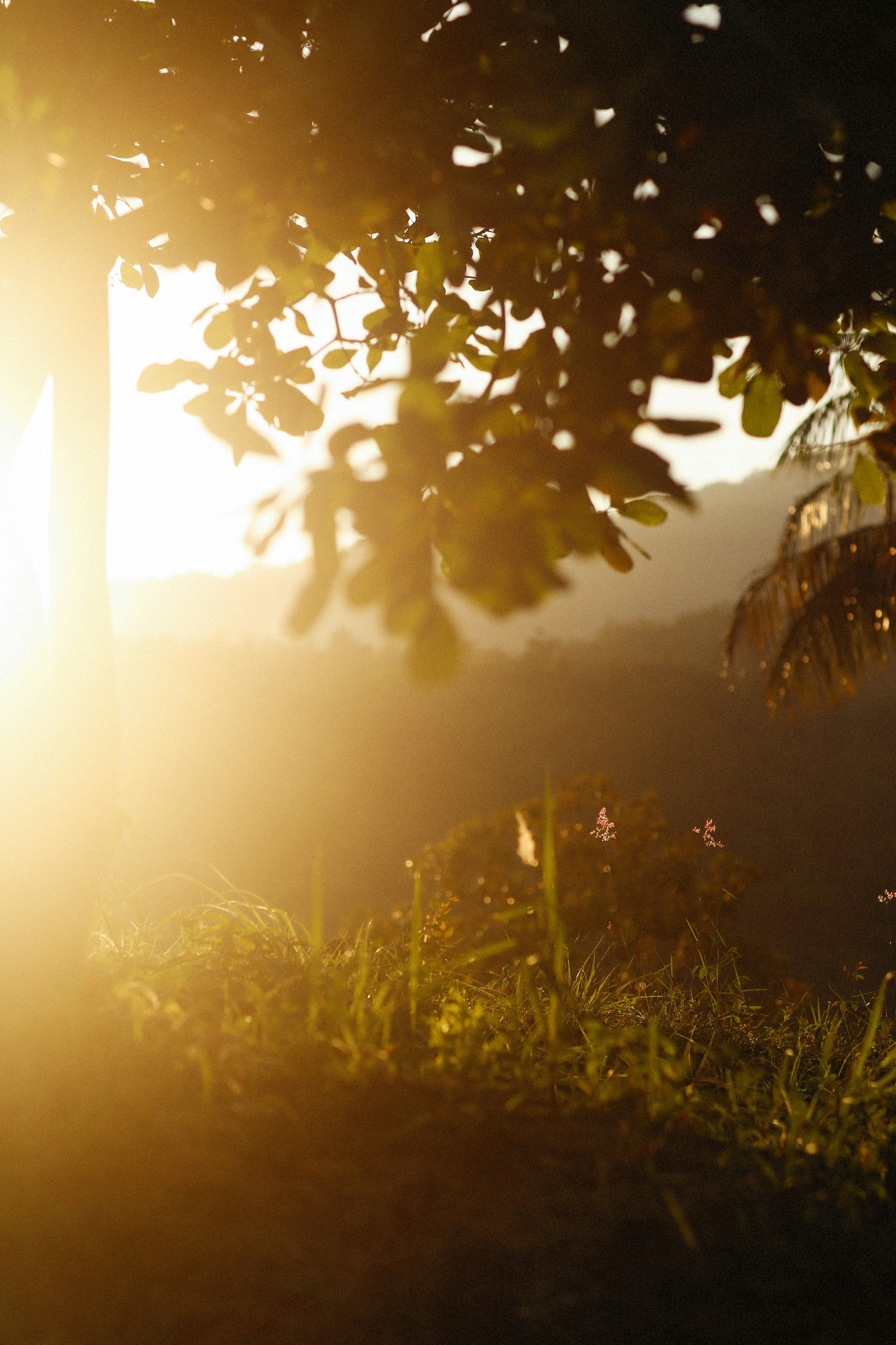 Photo by alexeydemidov