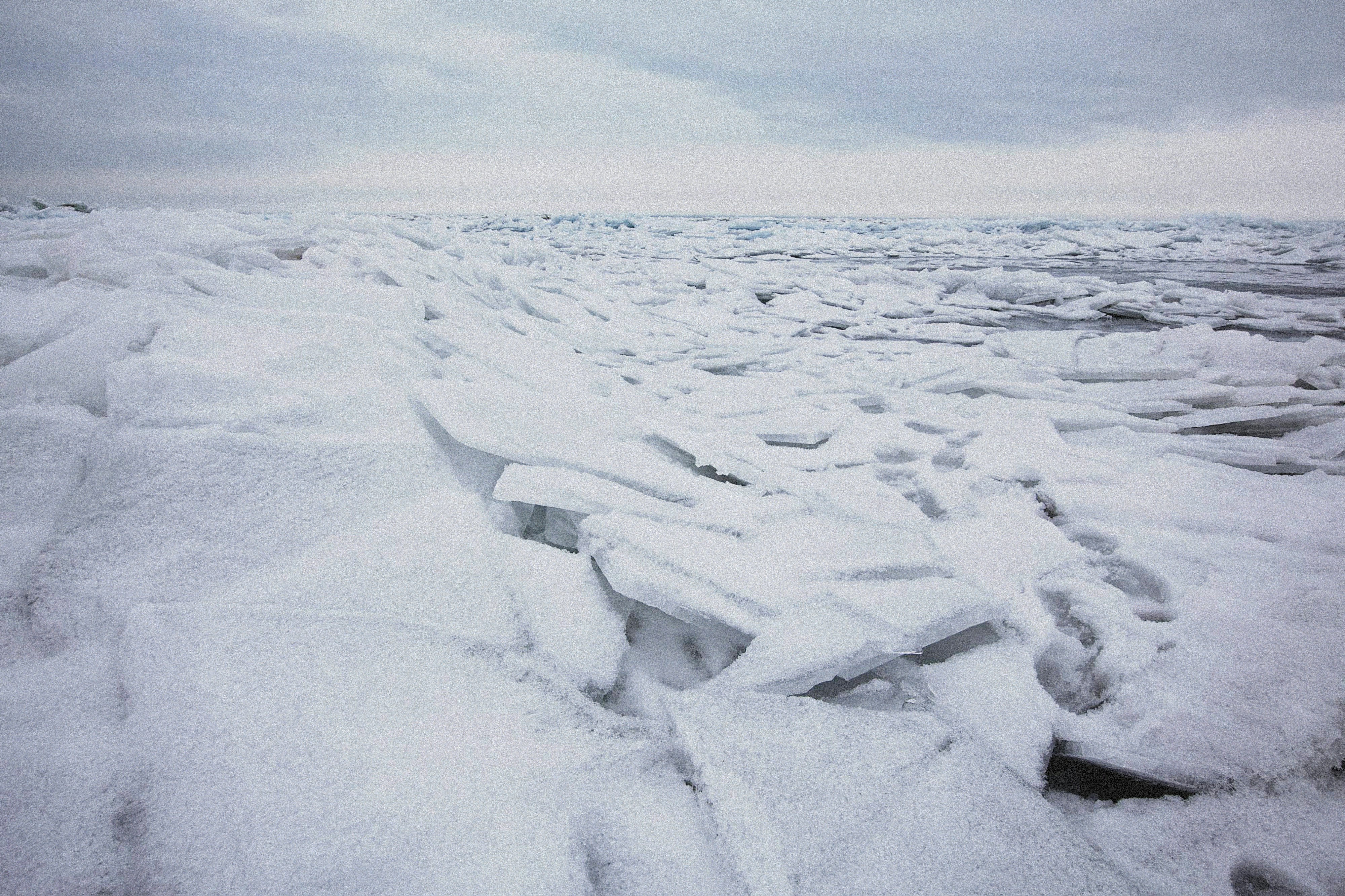 Photo by alexeydemidov