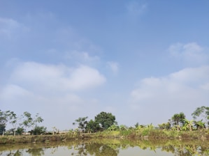 A peaceful outdoor scene representing calm and clarity after understanding ADHD.