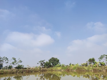 A peaceful outdoor scene representing calm and clarity after understanding ADHD.