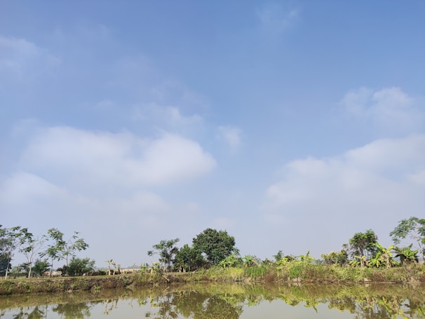 A peaceful scene with nature and tranquility.