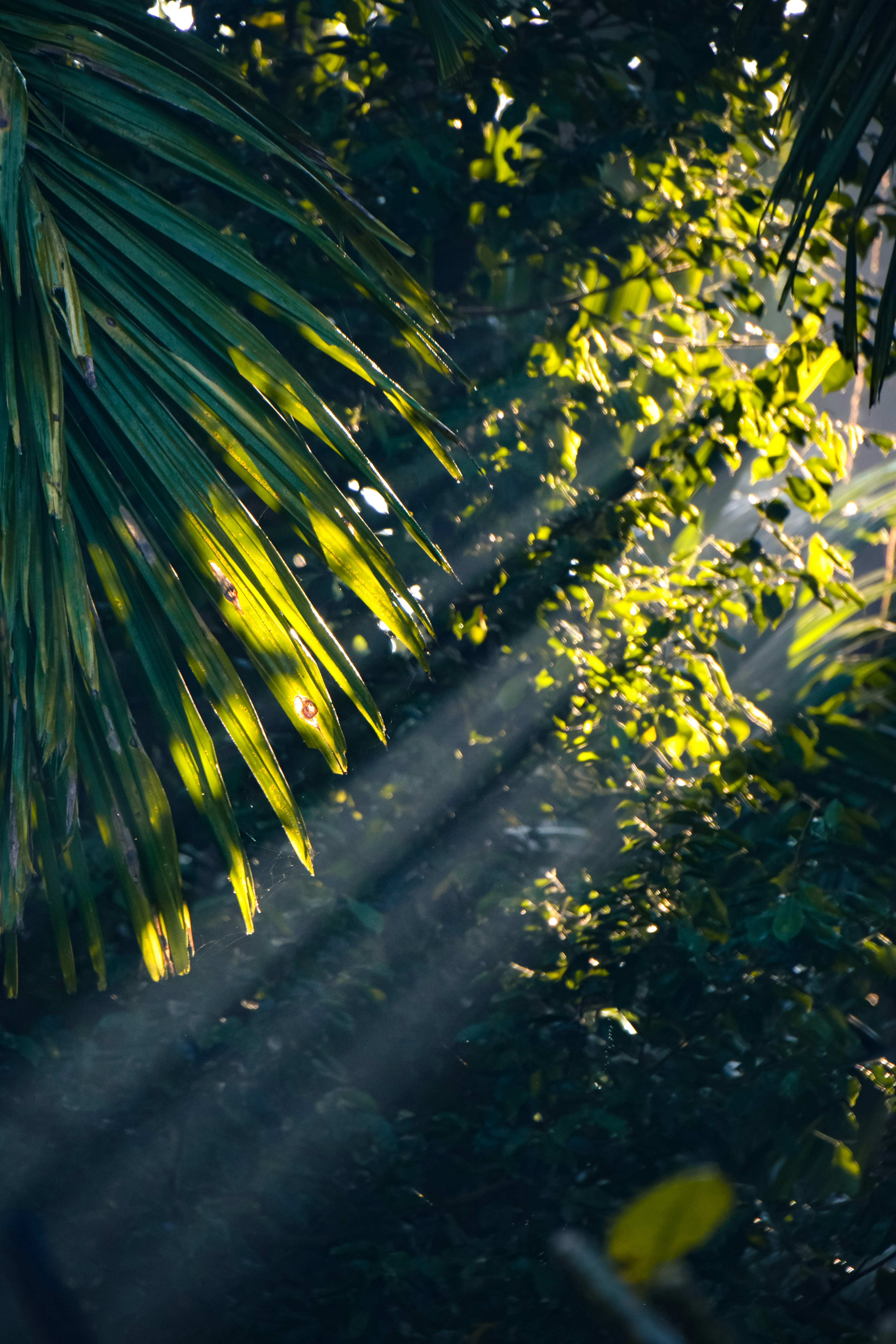 Photo by chandanshastri