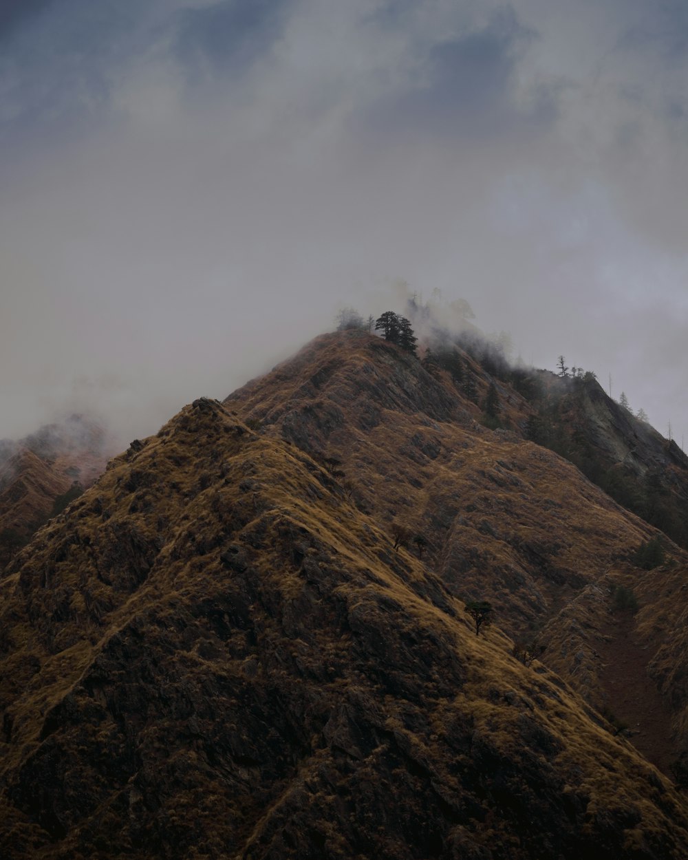 the top of a mountain covered in brown grass