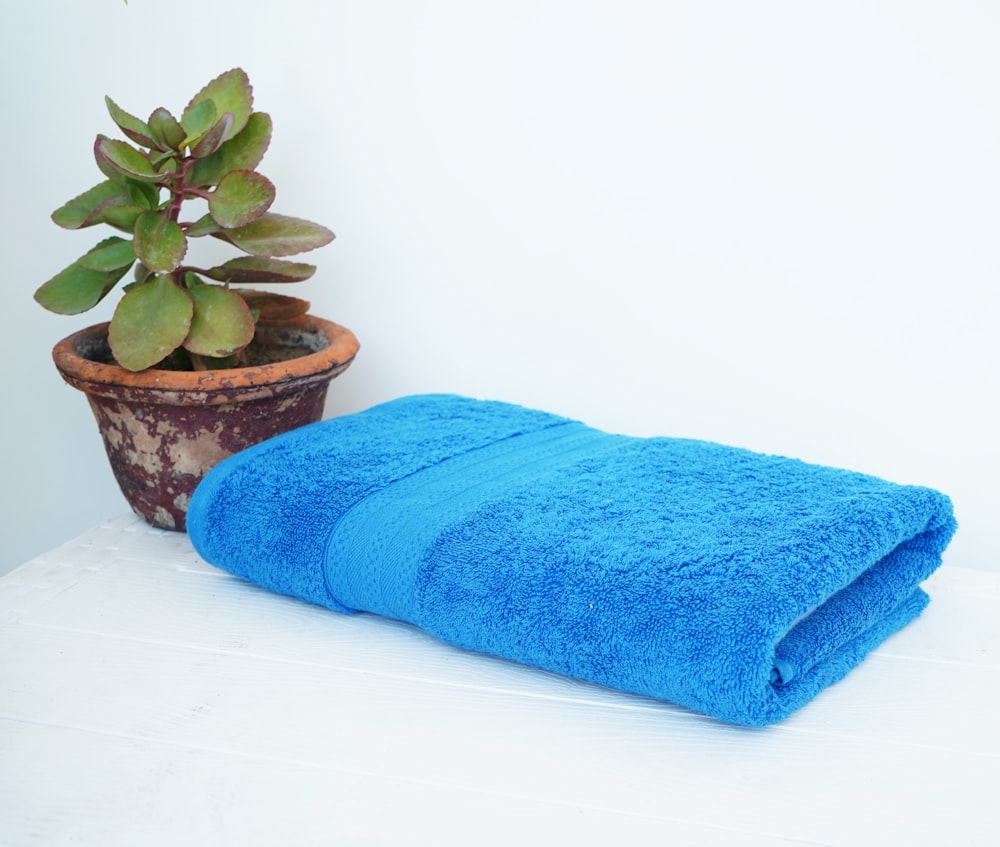 une serviette bleue assise à côté d’une plante en pot
