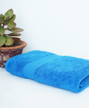 a blue towel sitting next to a potted plant