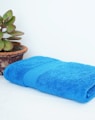 a blue towel sitting next to a potted plant