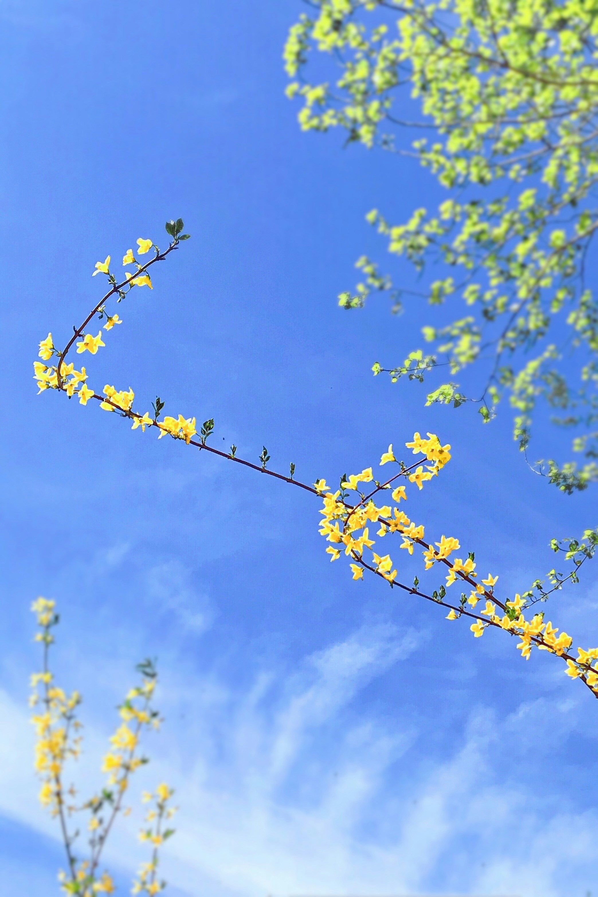 Photo by naturesgrace