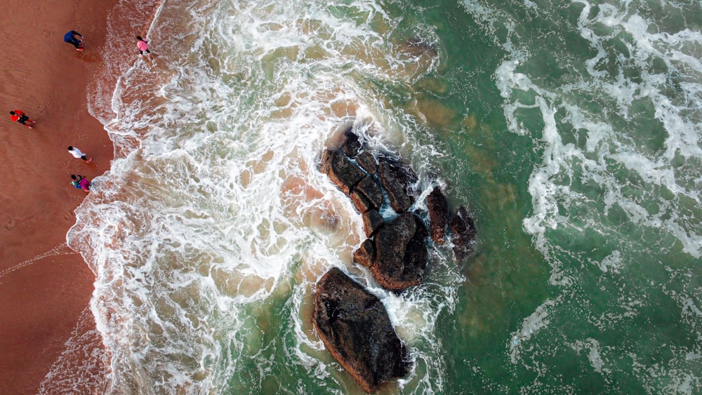 a group of people standing on top of a beach next to the ocean