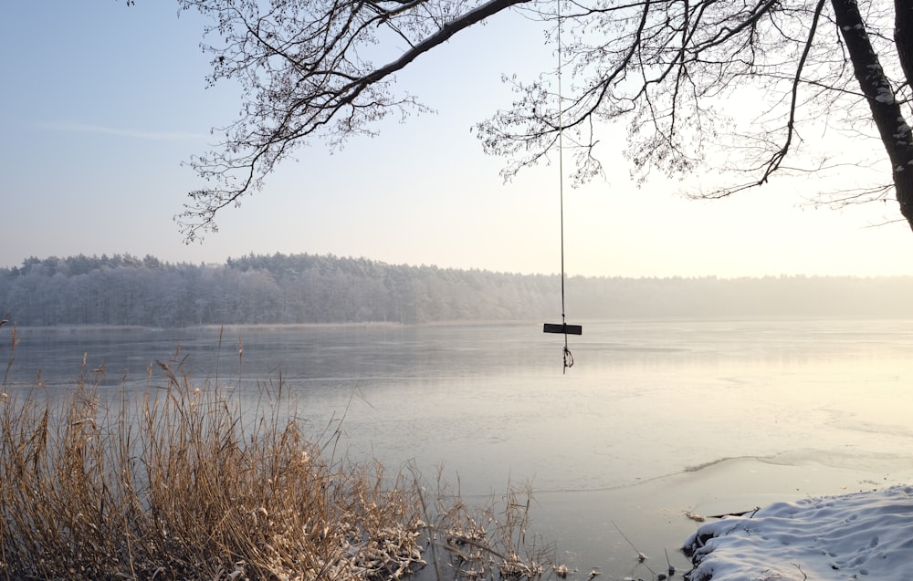 a swing hanging from a tree over a frozen lake