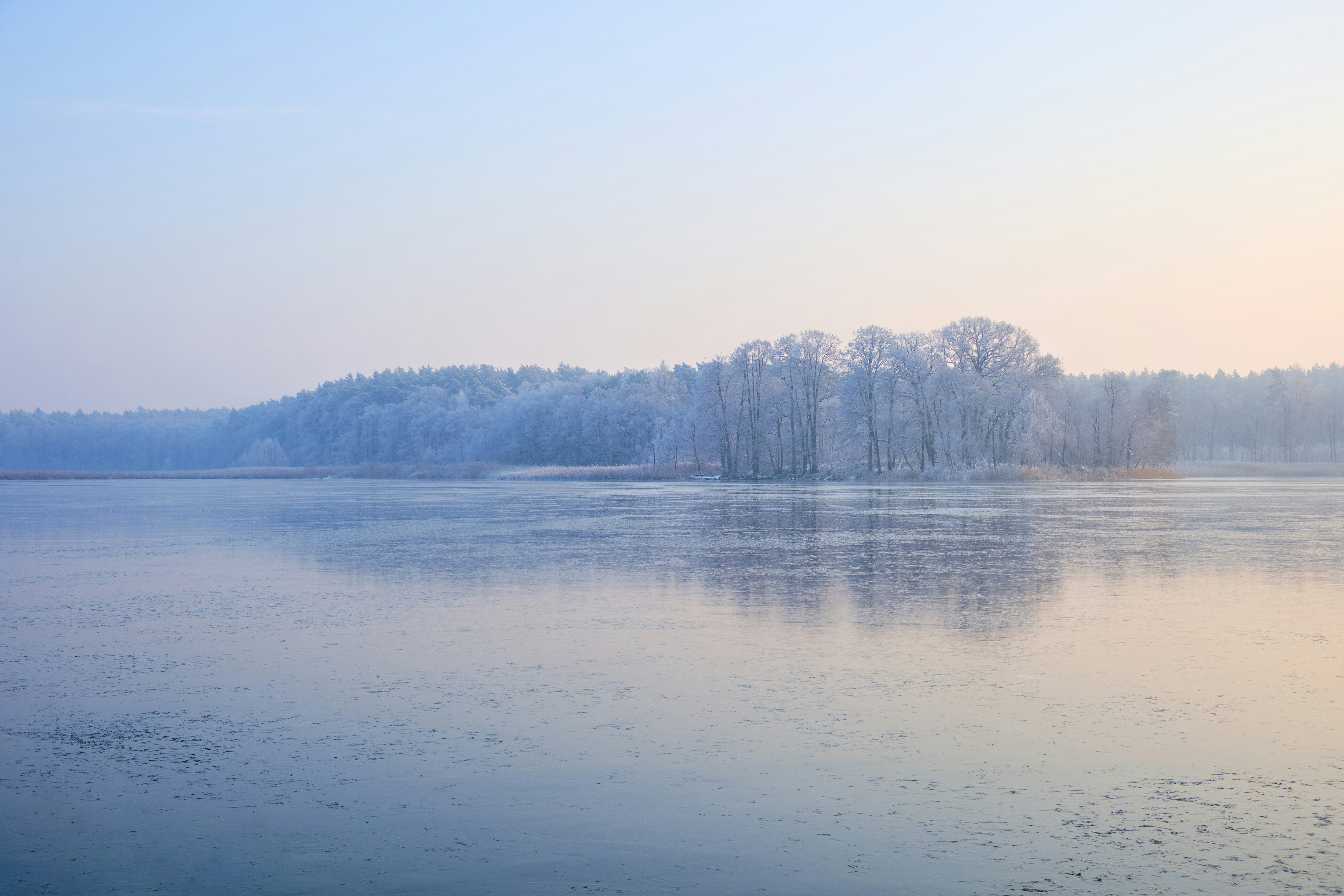 Photo by victor_vector