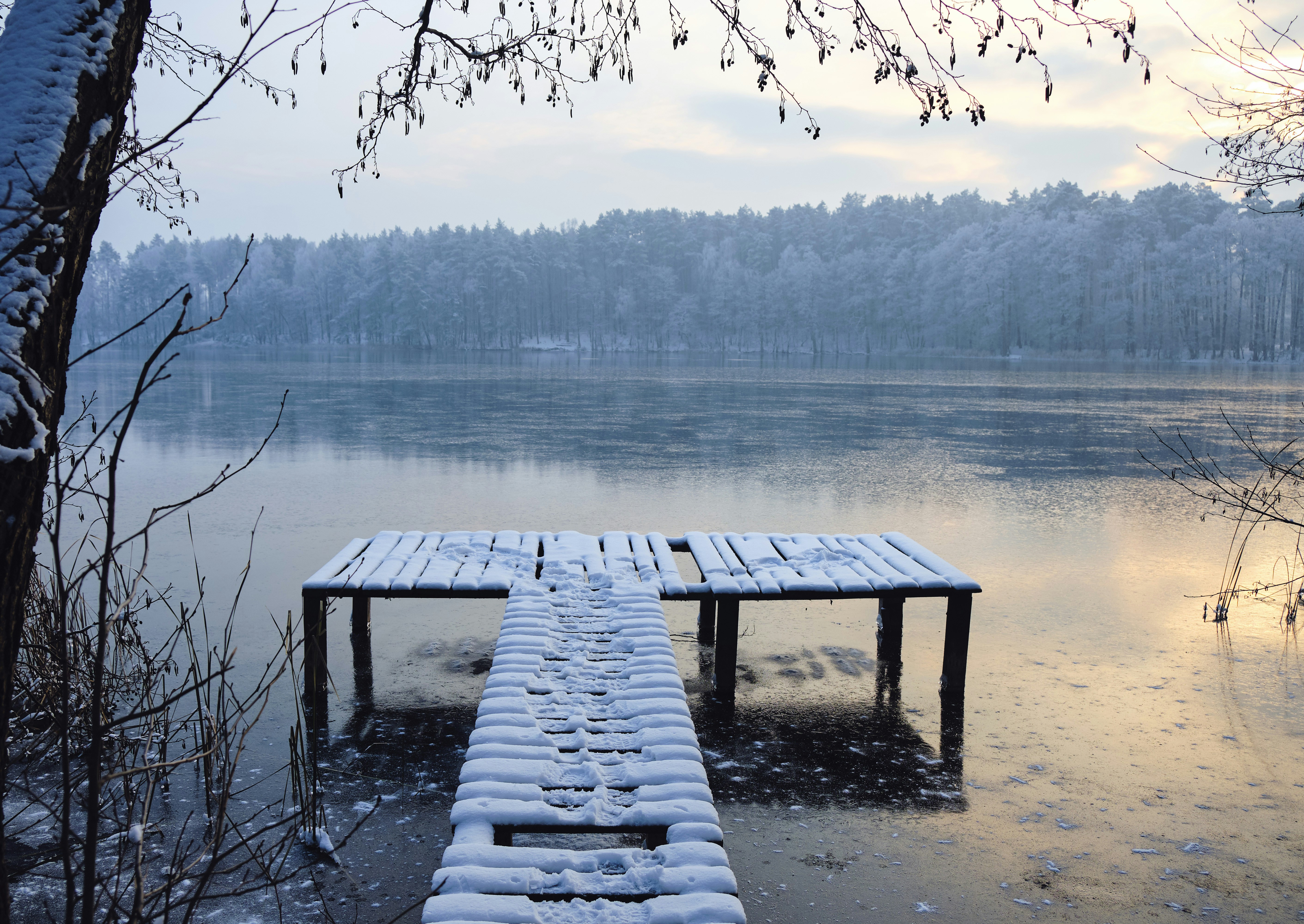 Photo by victor_vector