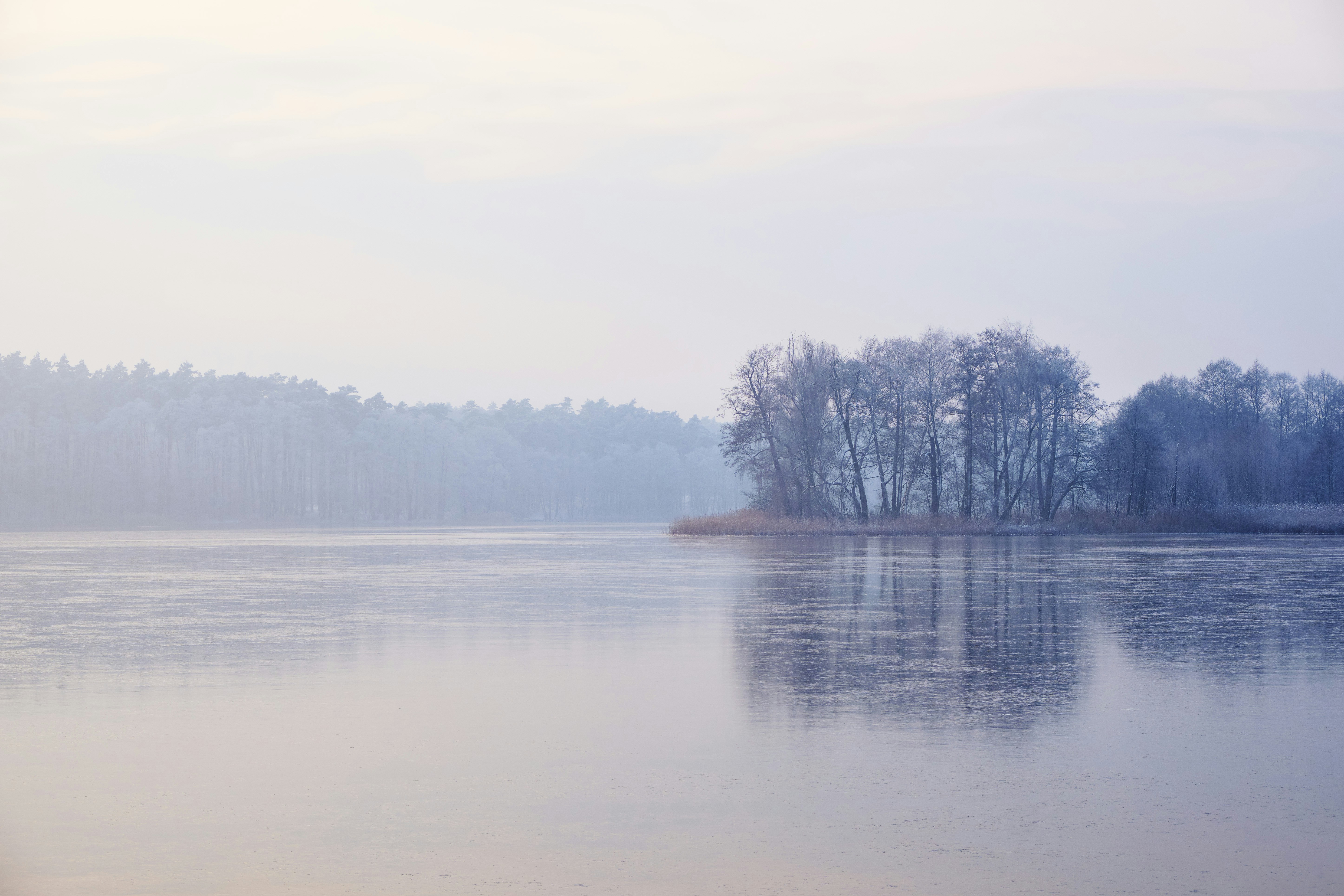 Photo by victor_vector