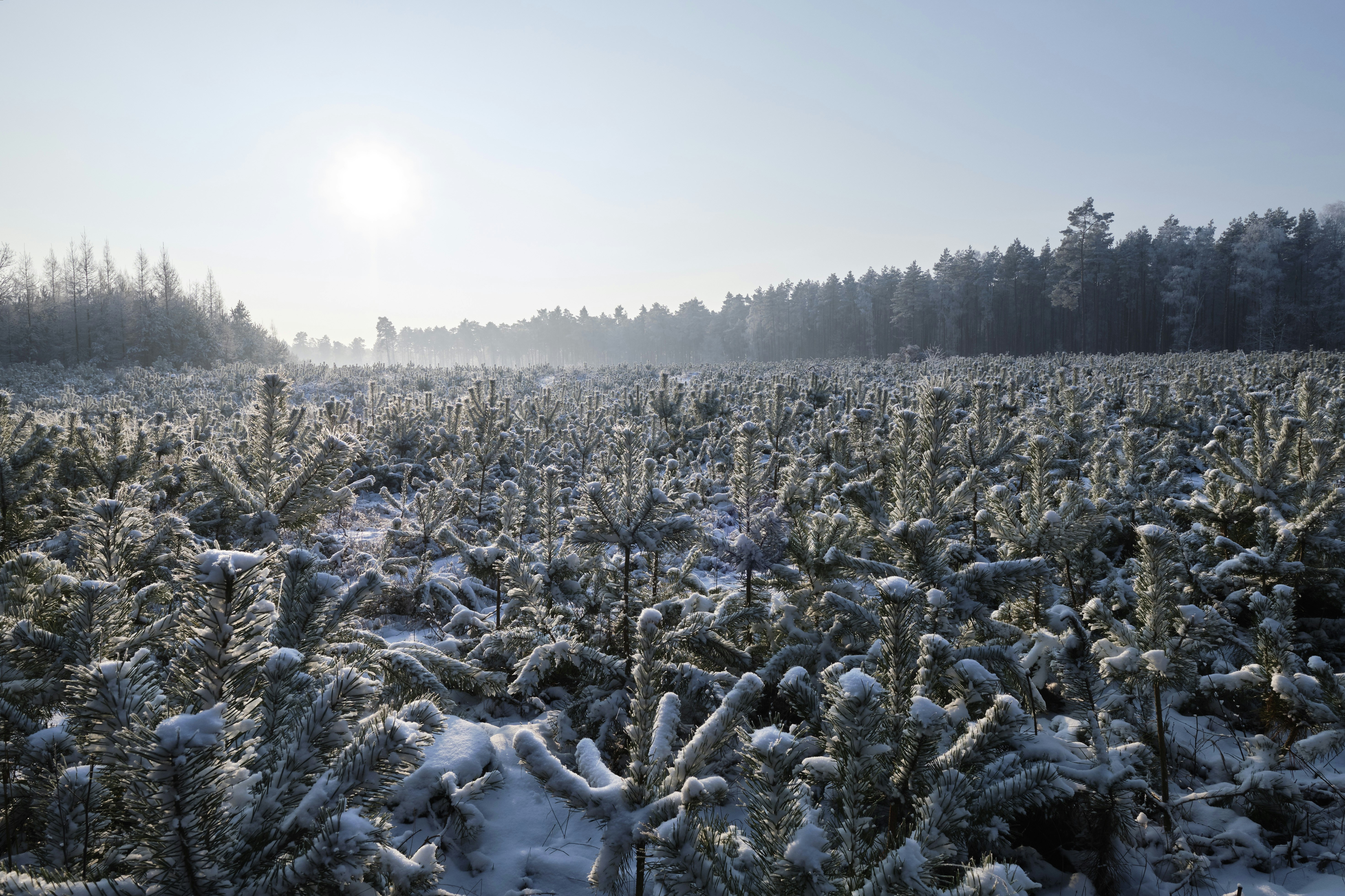 Photo by victor_vector