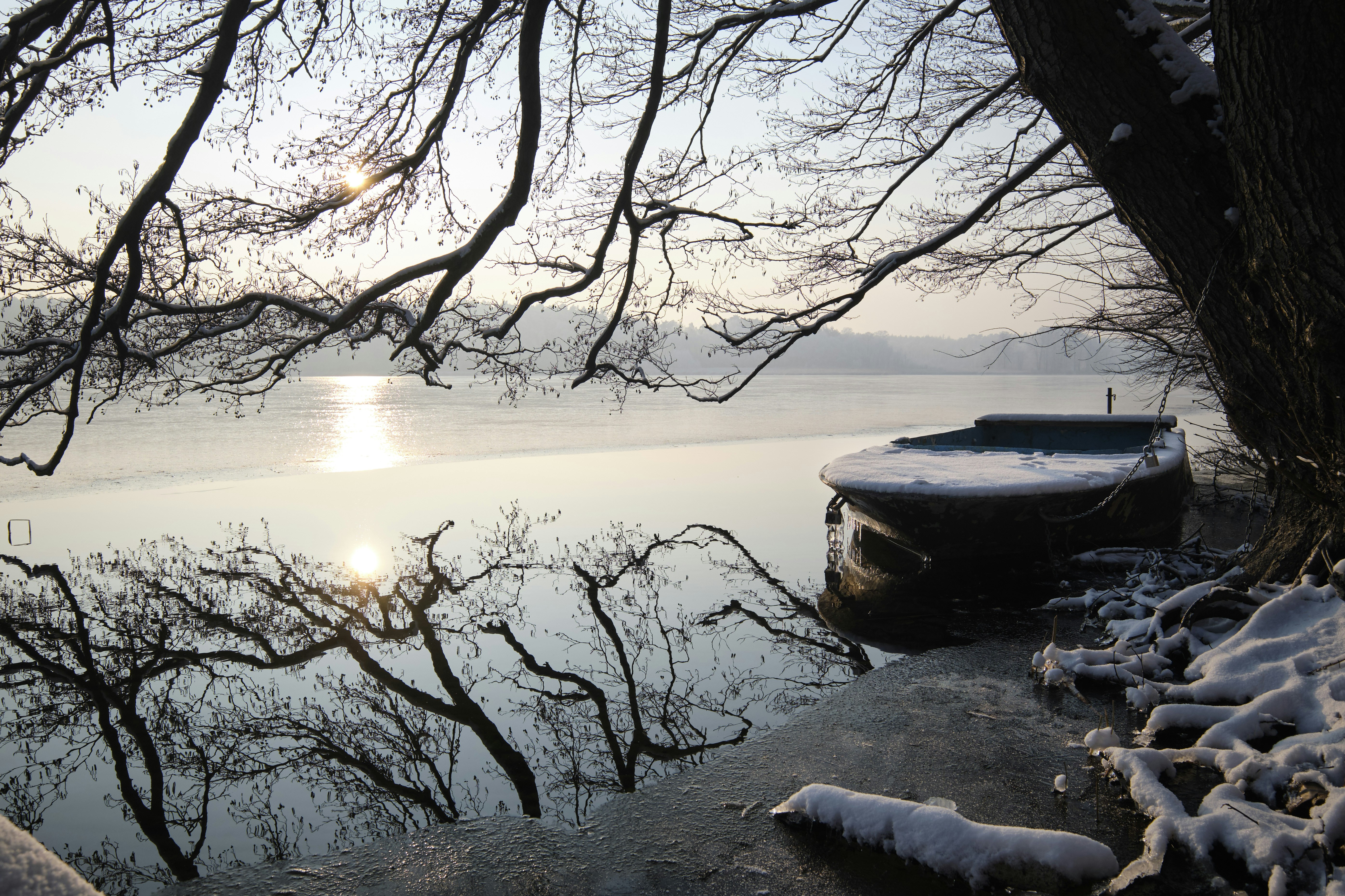 Photo by victor_vector