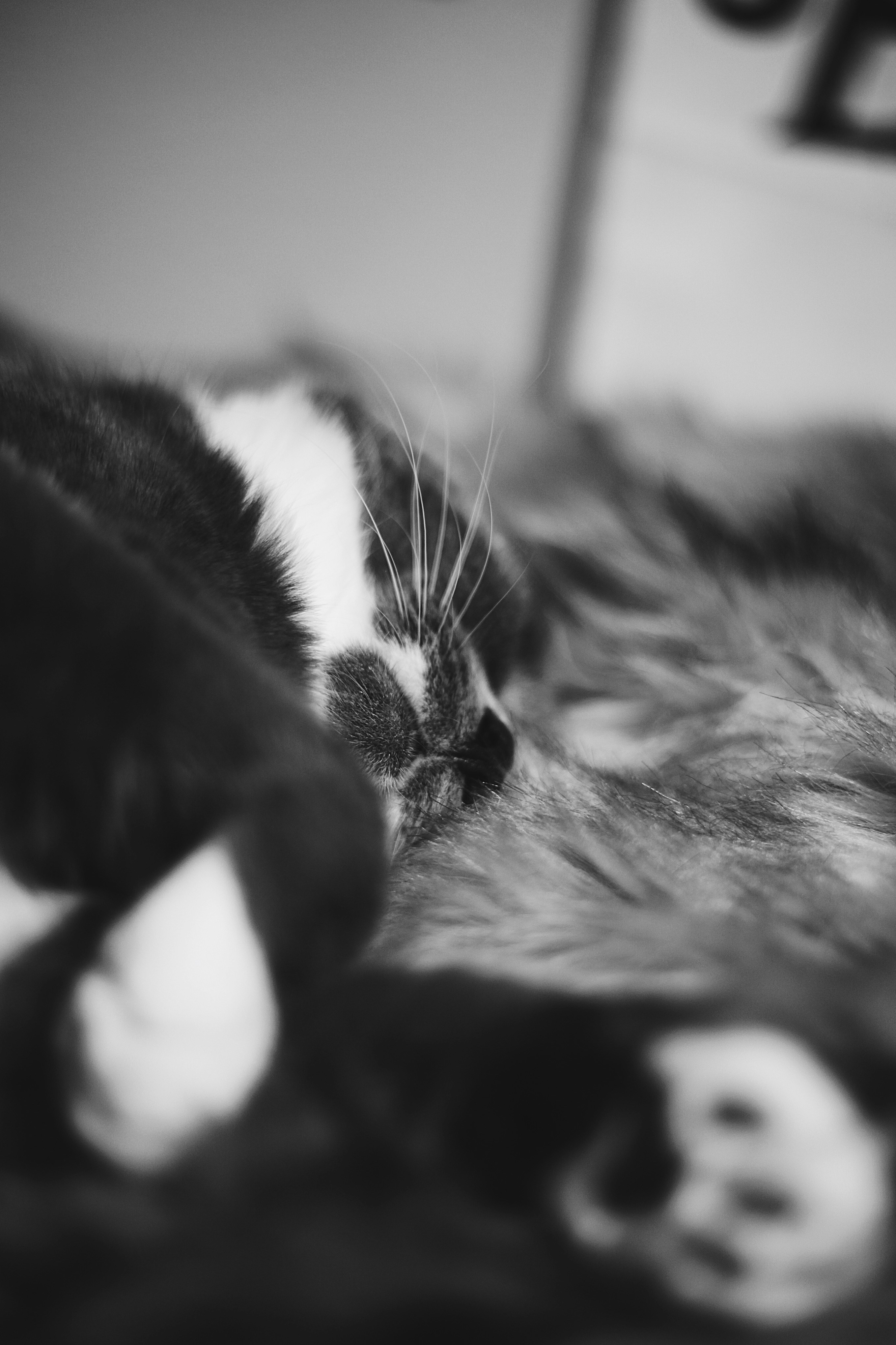 Photo by earthtokarly