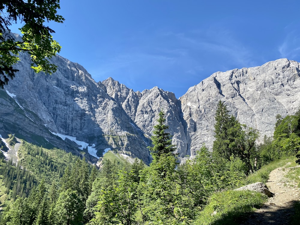 a mountain range with trees and a trail in the foreground