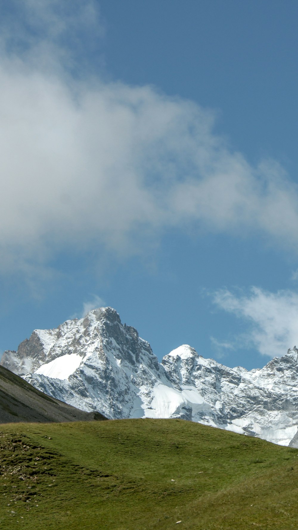 a grassy field with a mountain in the background