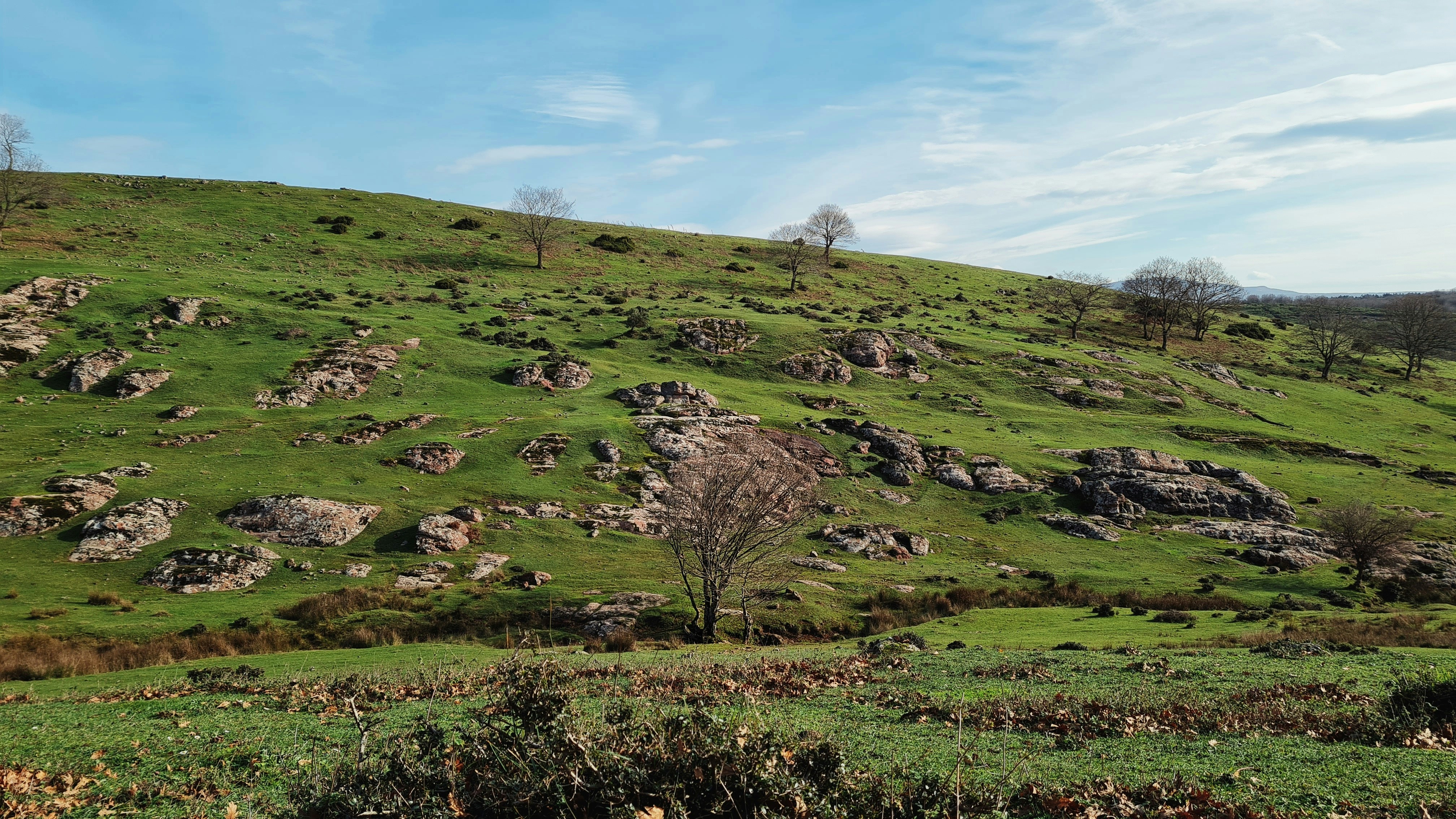 Gebze'de Profesyonel Hukuki Danışmanlık ve Dava Hizmetleri