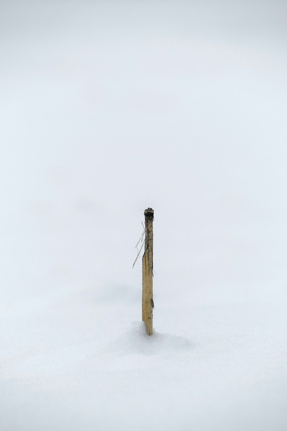 um poste de madeira saindo da neve