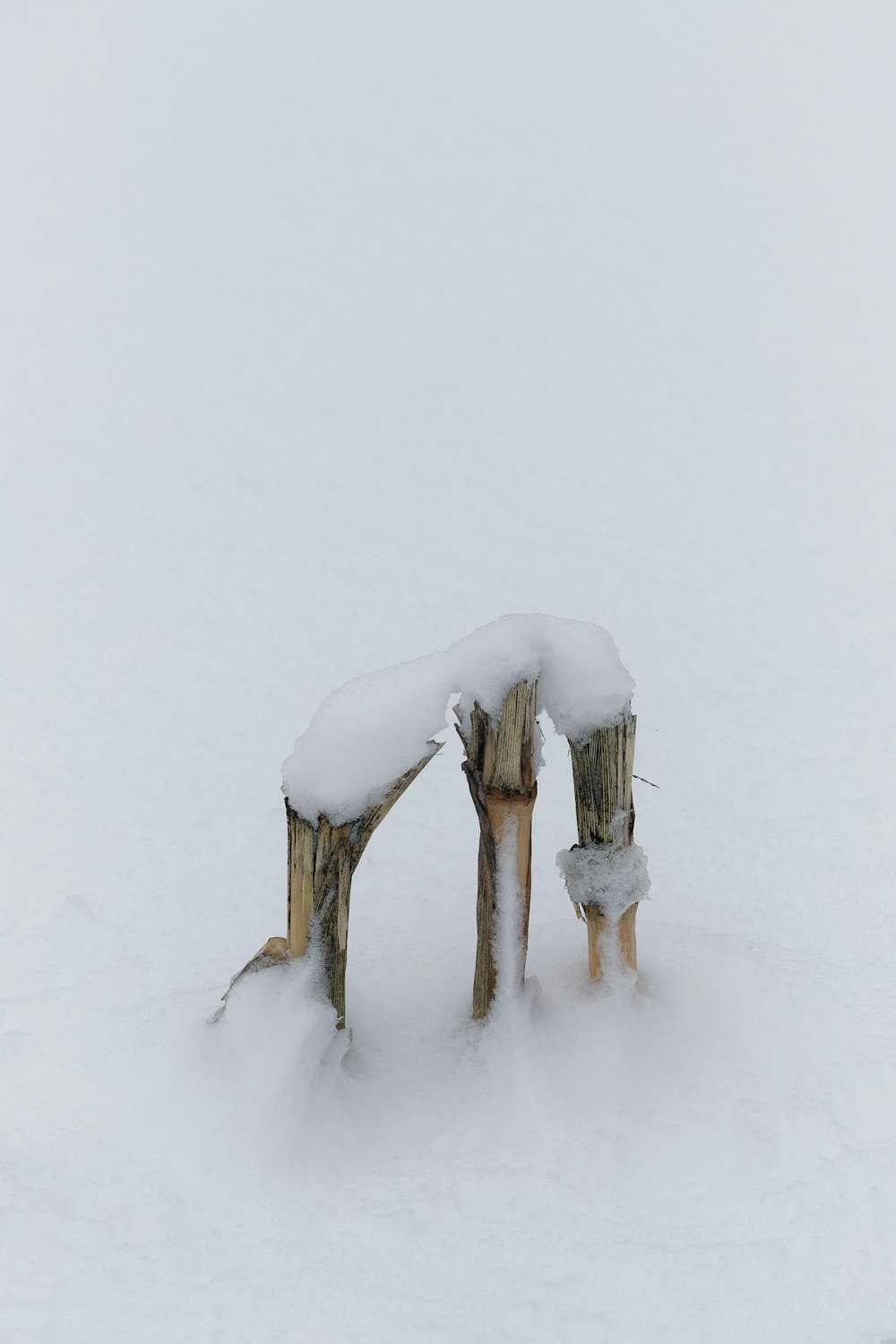 um par de postes de madeira cobertos de neve