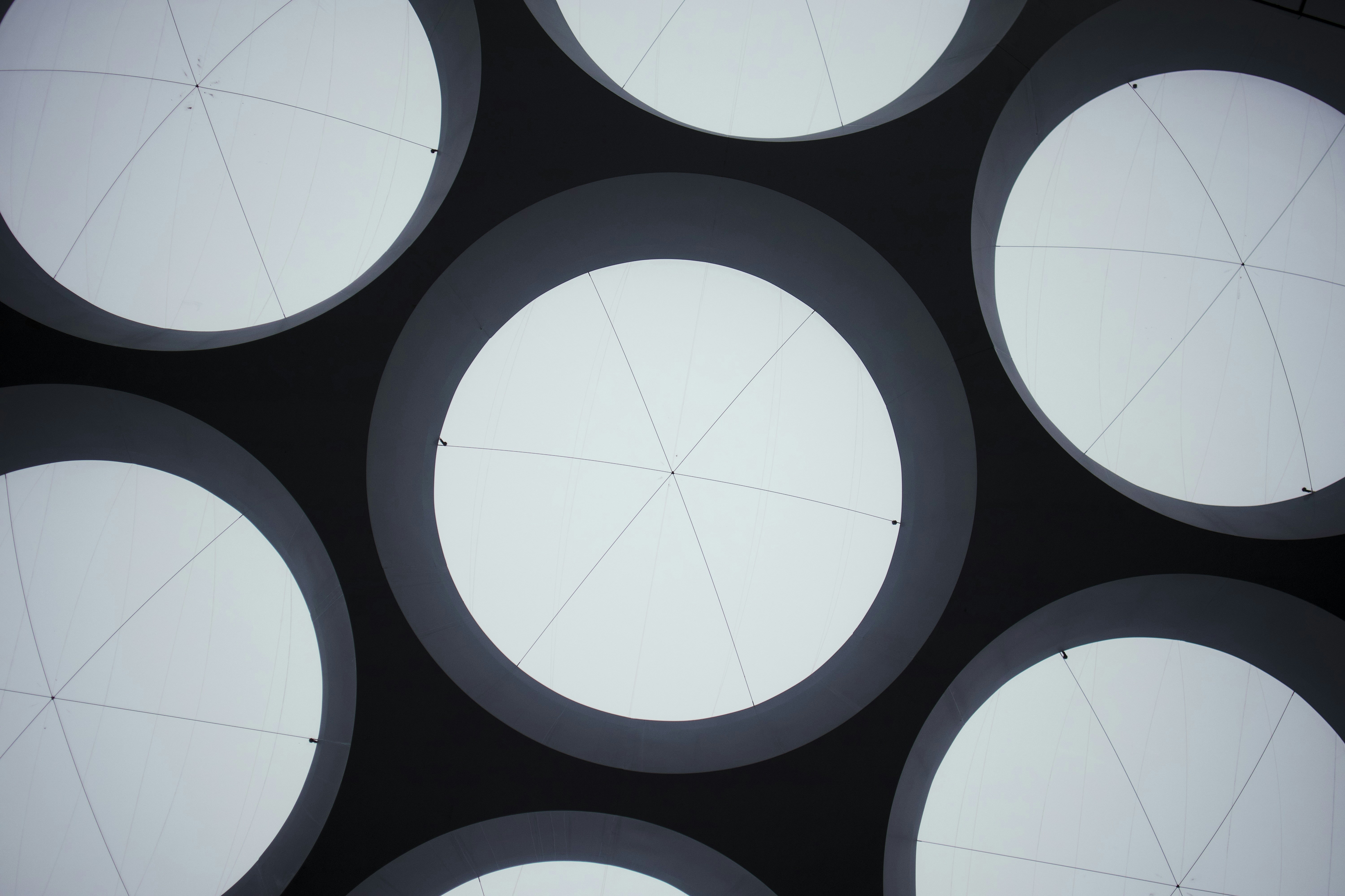 Photo by somewhatparanoid