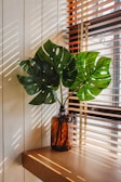 a green plant in a brown vase sitting on a window sill