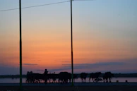 A peaceful sunset over the sanctuary grounds, with animals resting and volunteers nearby.
