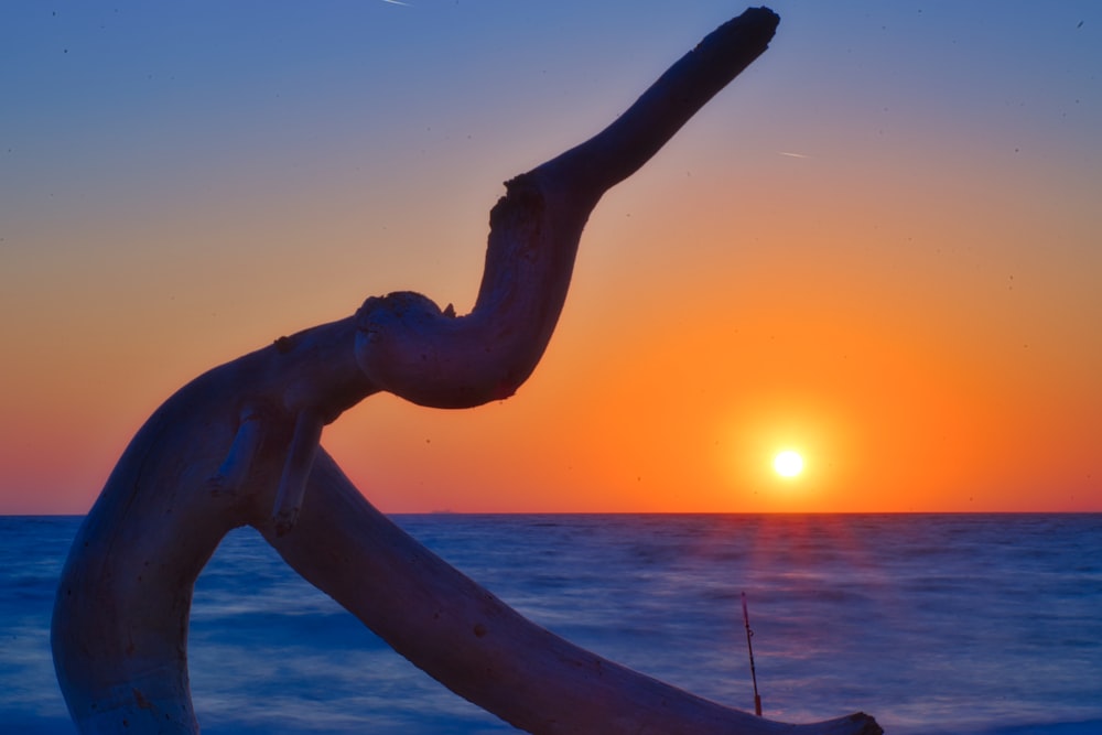 the sun is setting over the ocean with a long branch sticking out of the water