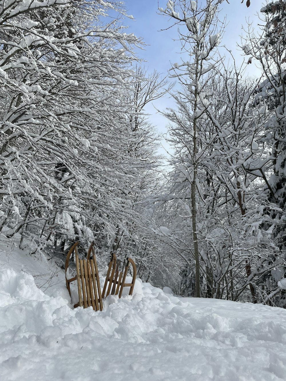 a couple of sleds that are in the snow