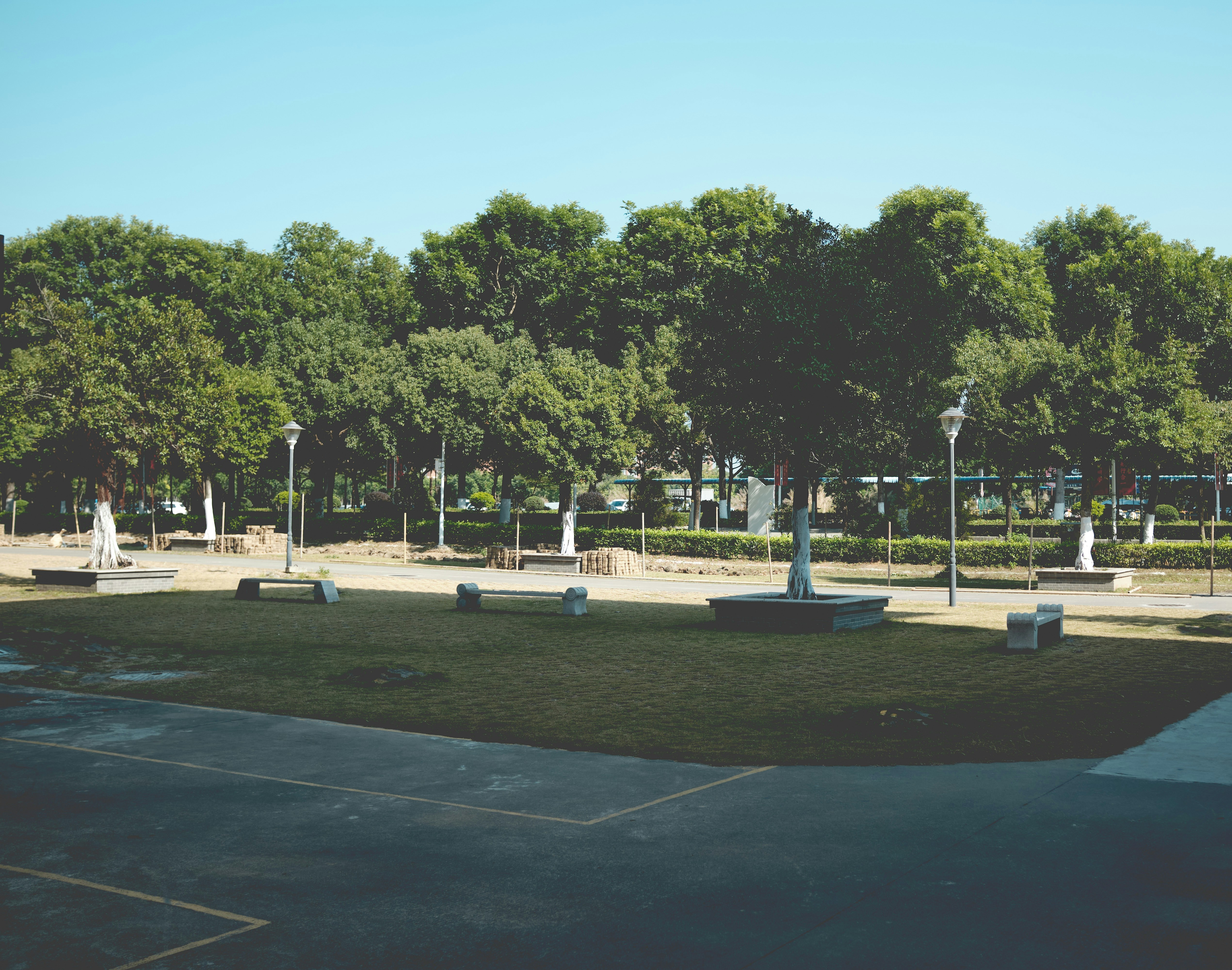 a park with a lot of trees and benches
