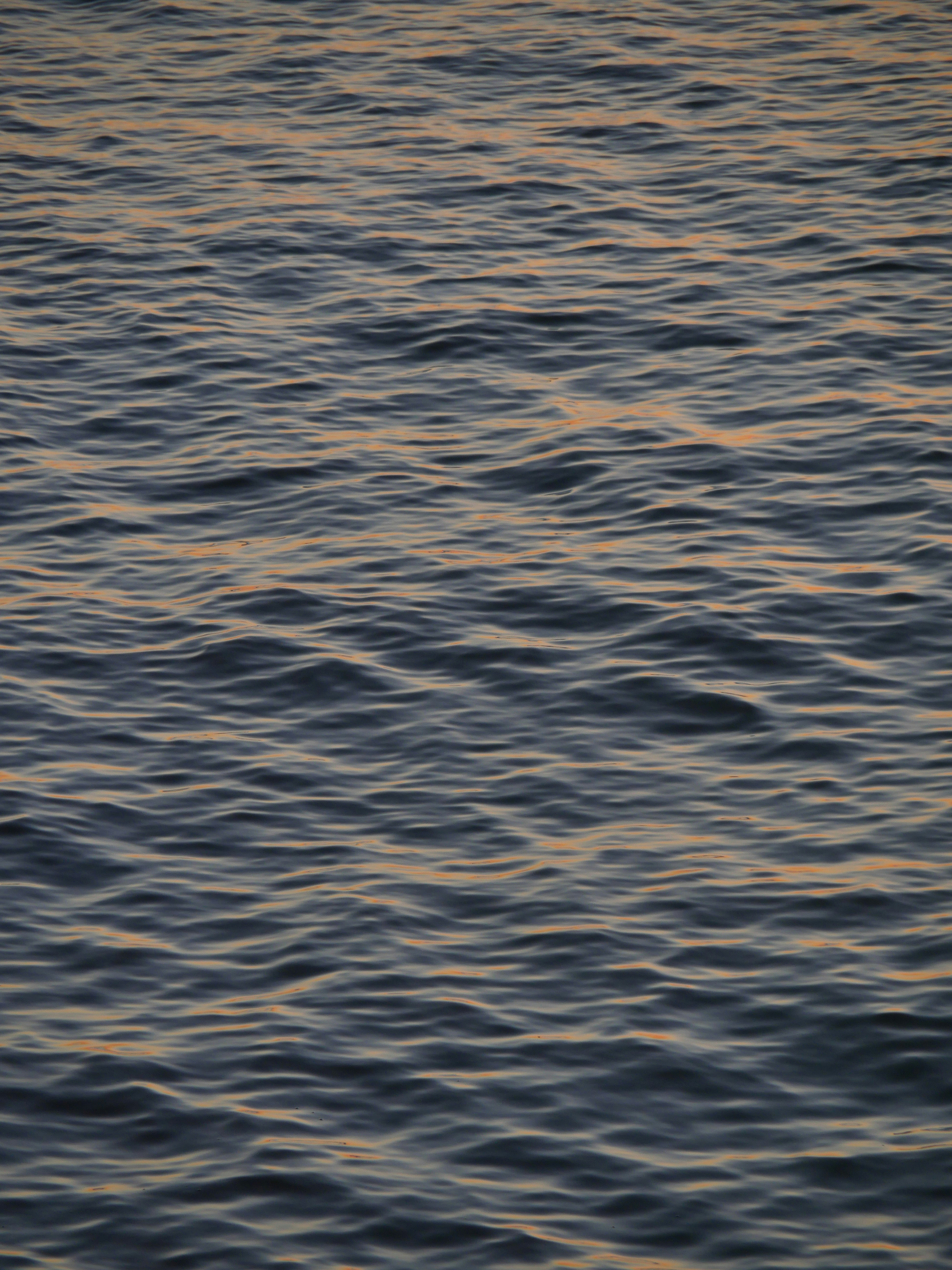 Photo by nimbus_vulpis