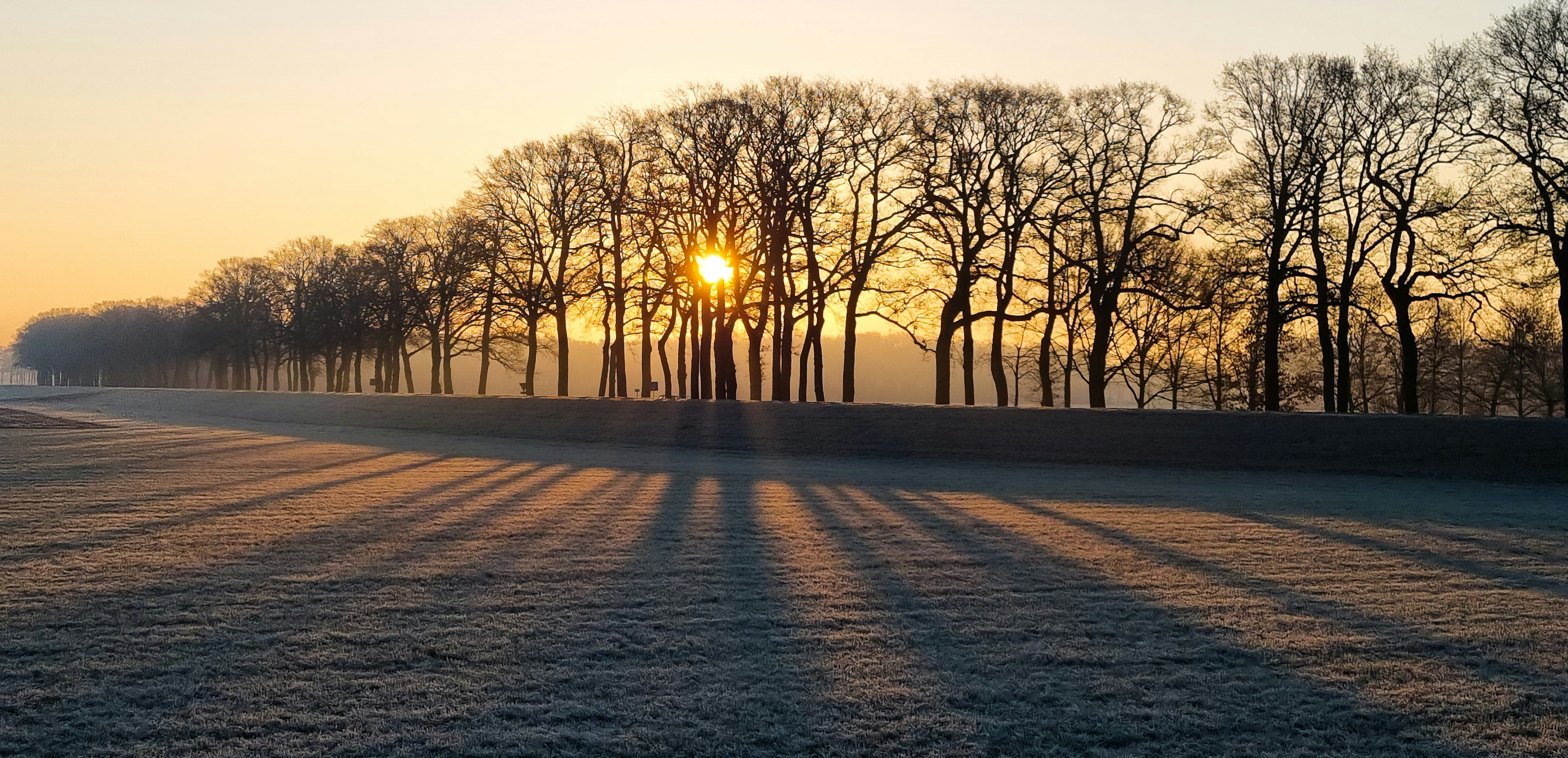 Afbeelding van Dalfsen