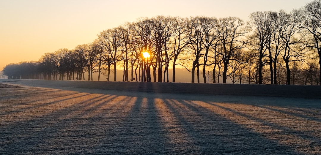 Afbeelding van Dalfsen