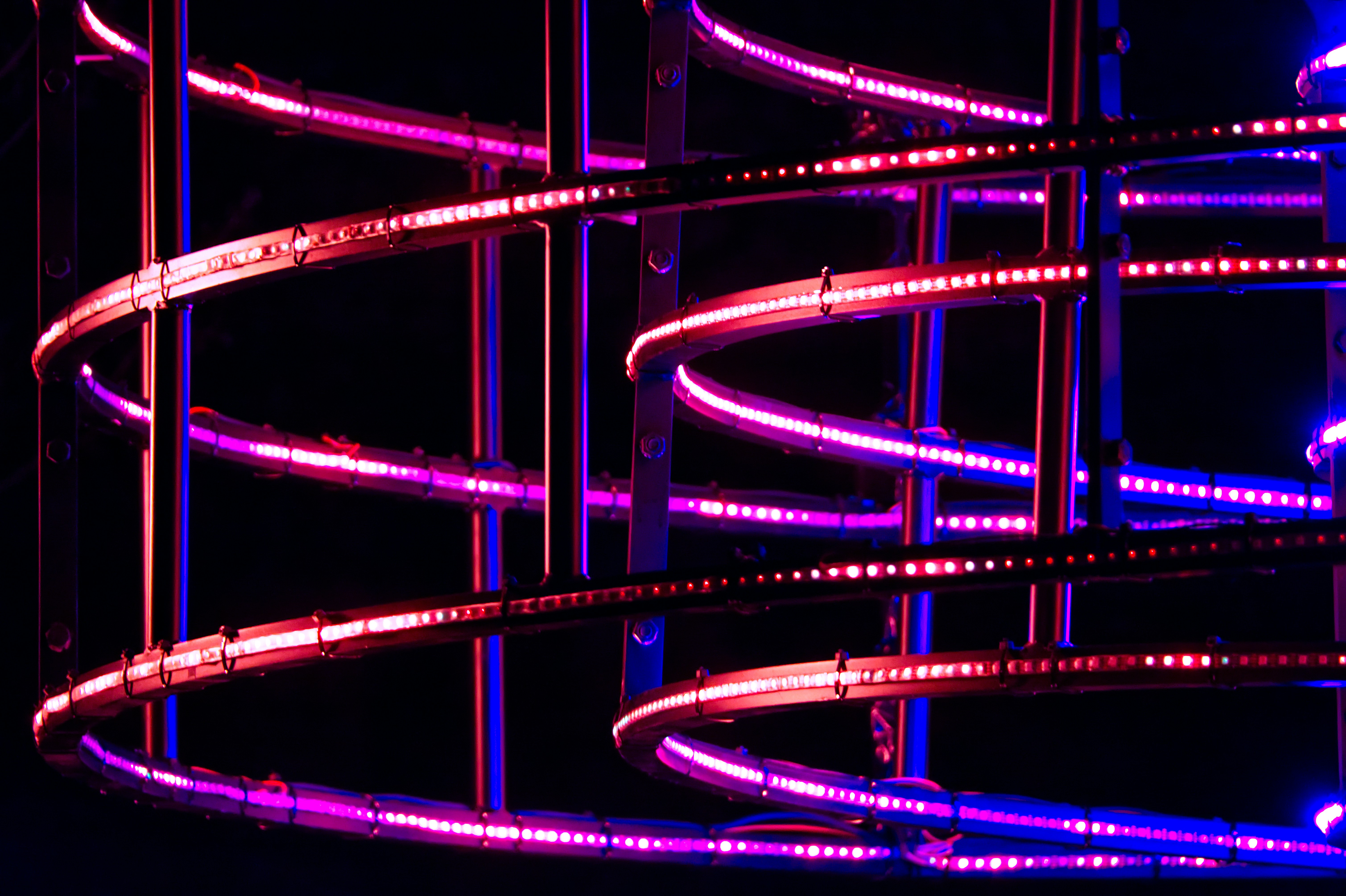 Neon light detail