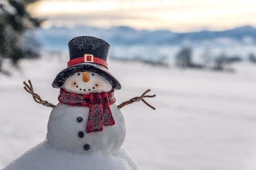 A cheerful snowman with a carrot nose, button eyes, and a smiling mouth made of coal. It wears a black top hat with a red band and a red plaid scarf. Its stick arms are spread wide, and it stands in a snowy field with blurred trees and mountains in the background.