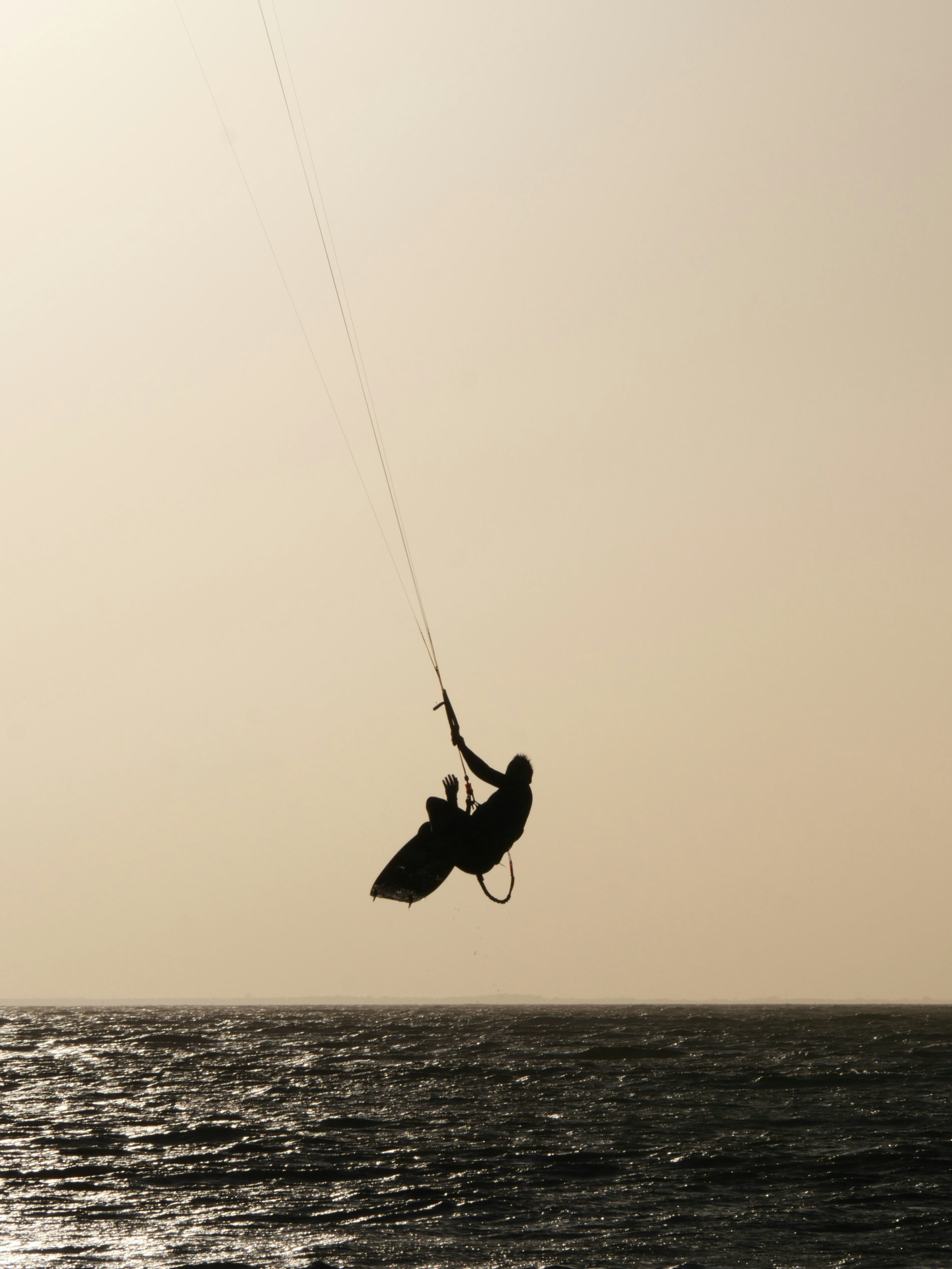 Photo by nimbus_vulpis