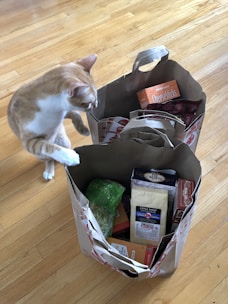 A curious cat sniffing a bowl filled with organic pet snacks on a wooden floor