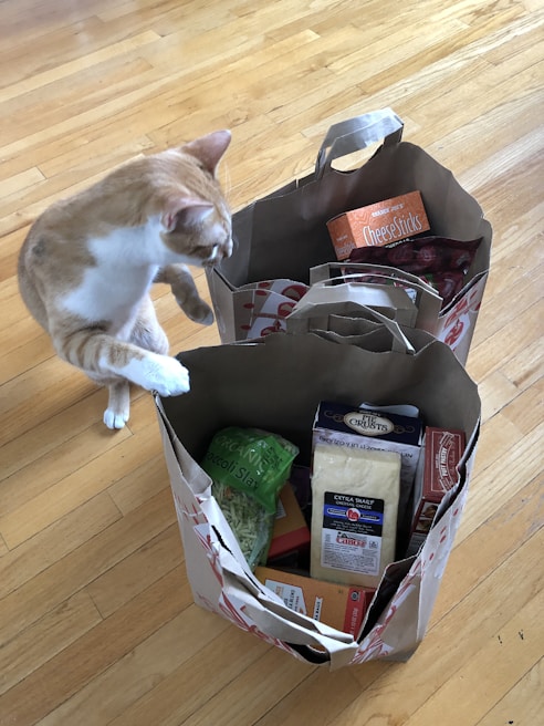A cat curiously sniffing tracepet's fresh ingredient packaging on a wooden table