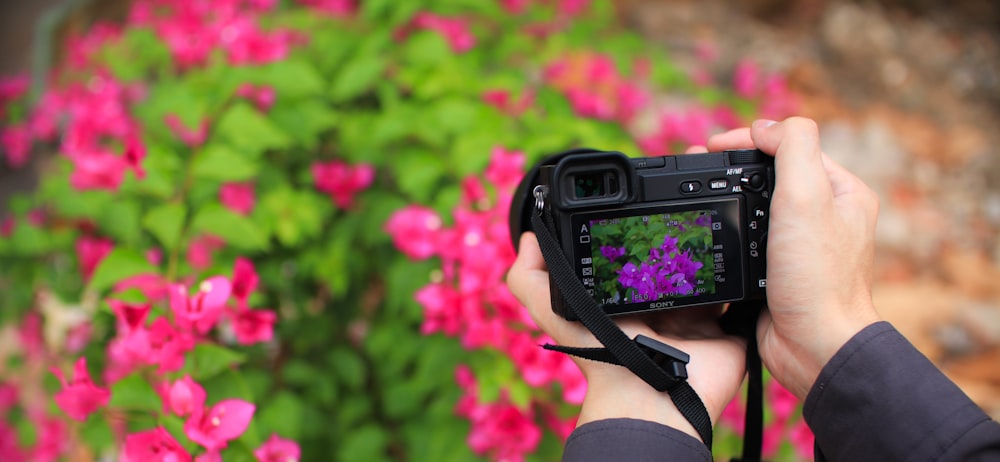 a person holding a camera up to take a picture of flowers
