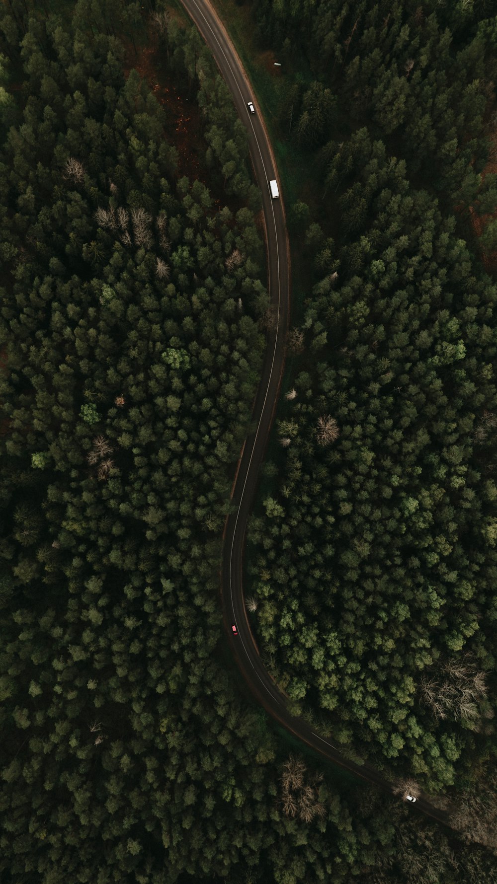 a winding road in the middle of a forest