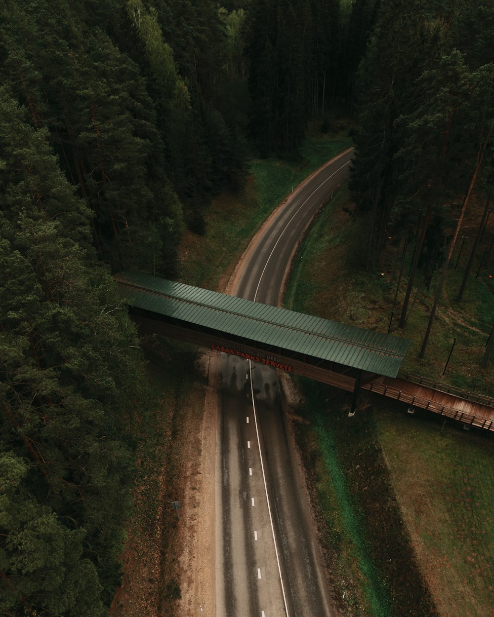 a bridge over a road in the middle of a forest