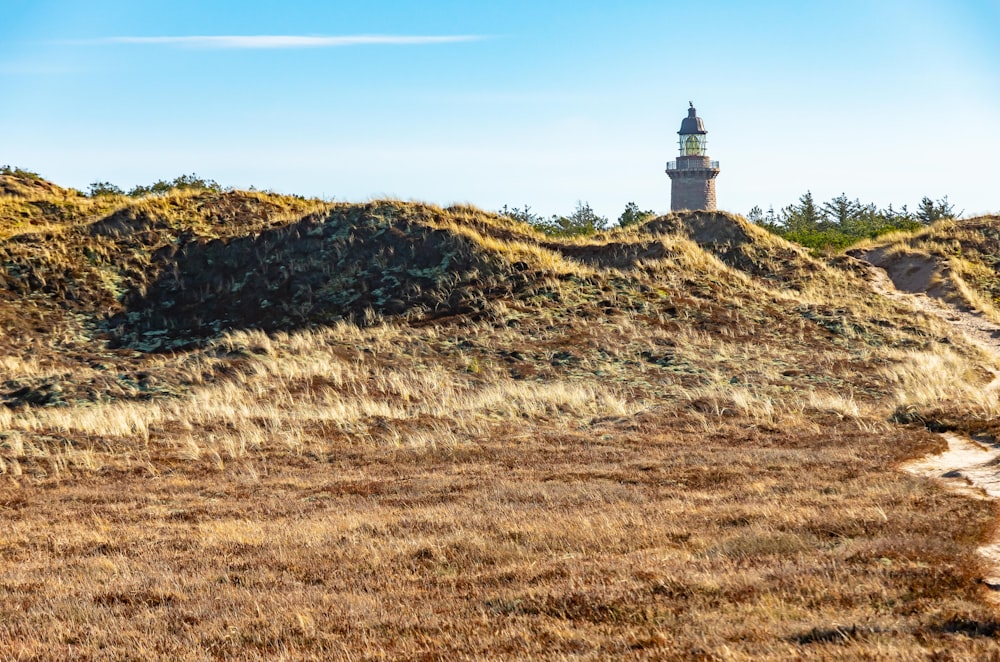 a grassy hill with a lighthouse in the distance