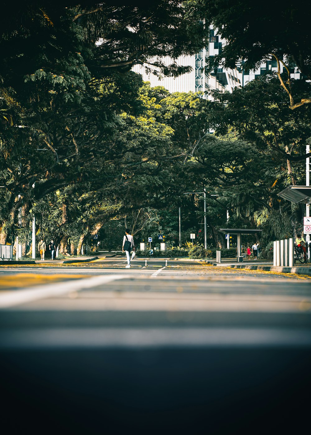 a person walking down a street next to trees