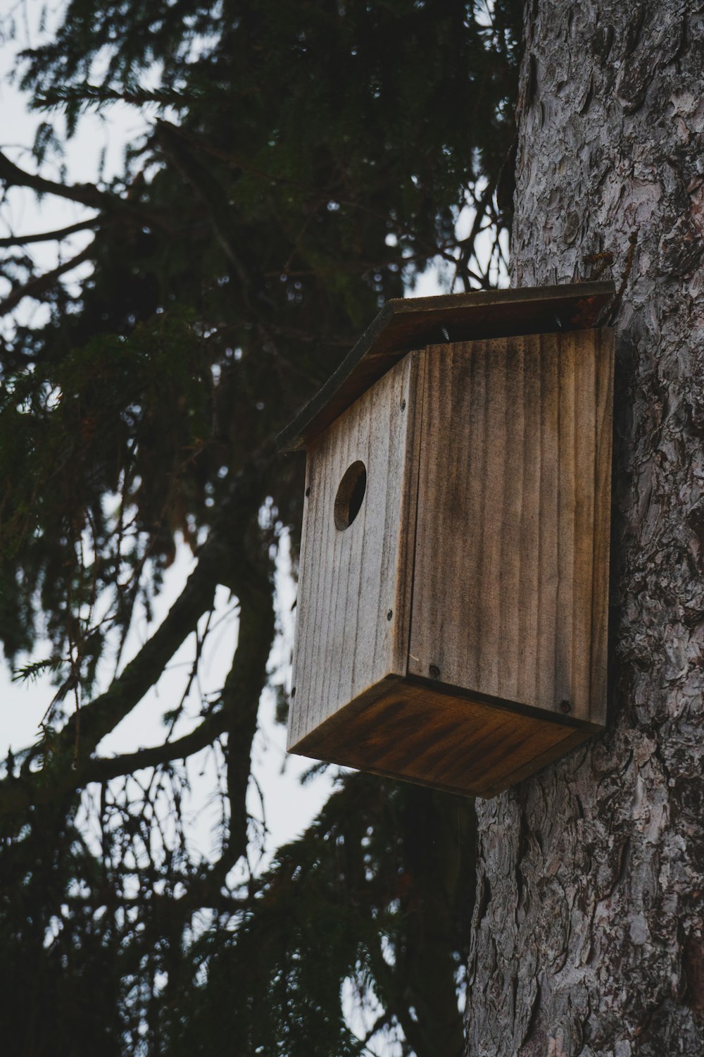 a birdhouse attached to the side of a tree