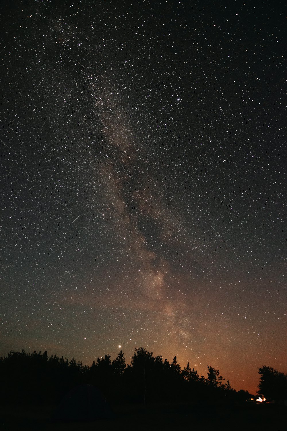 the night sky with stars and trees in the foreground