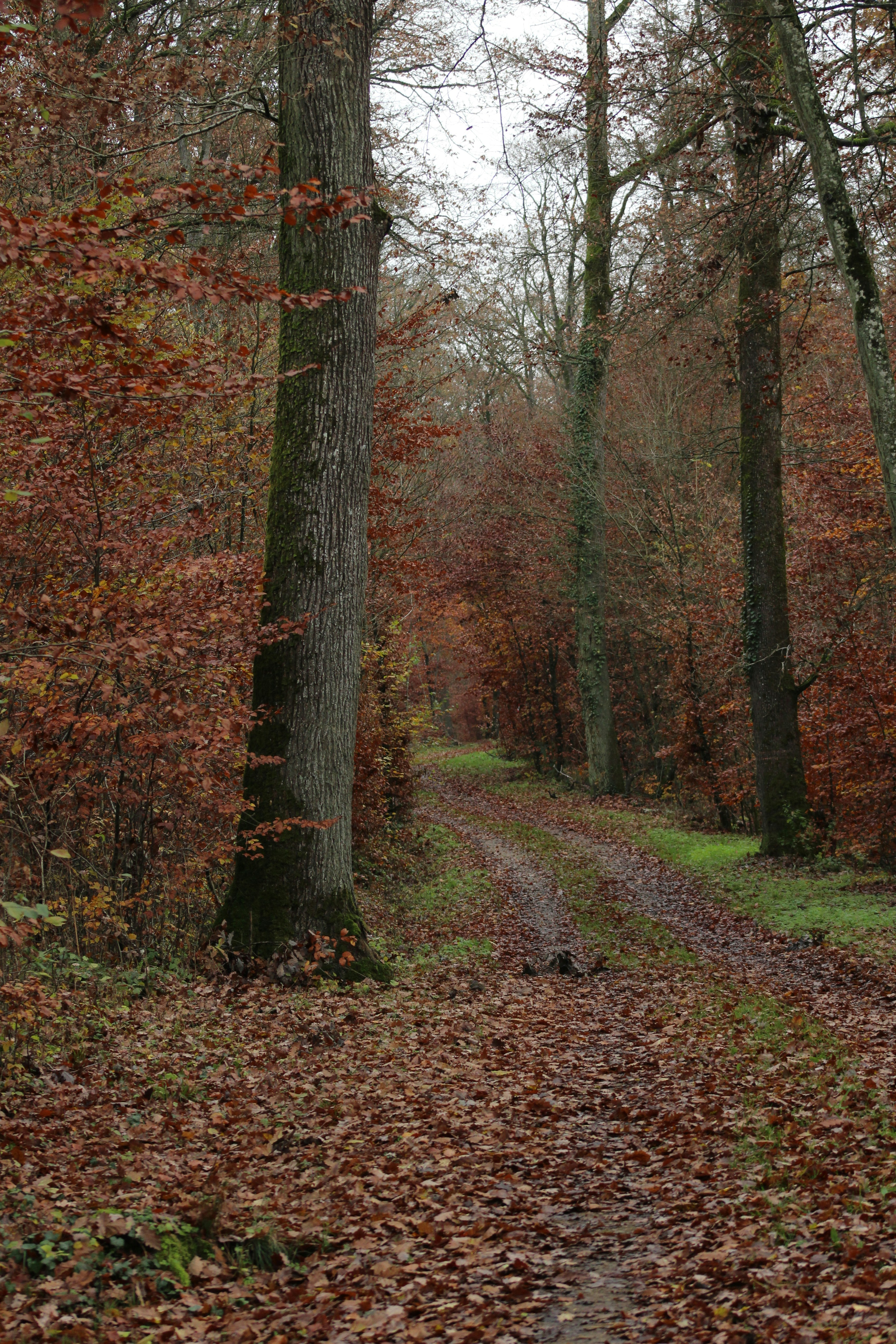 Photo by feliciafelicia