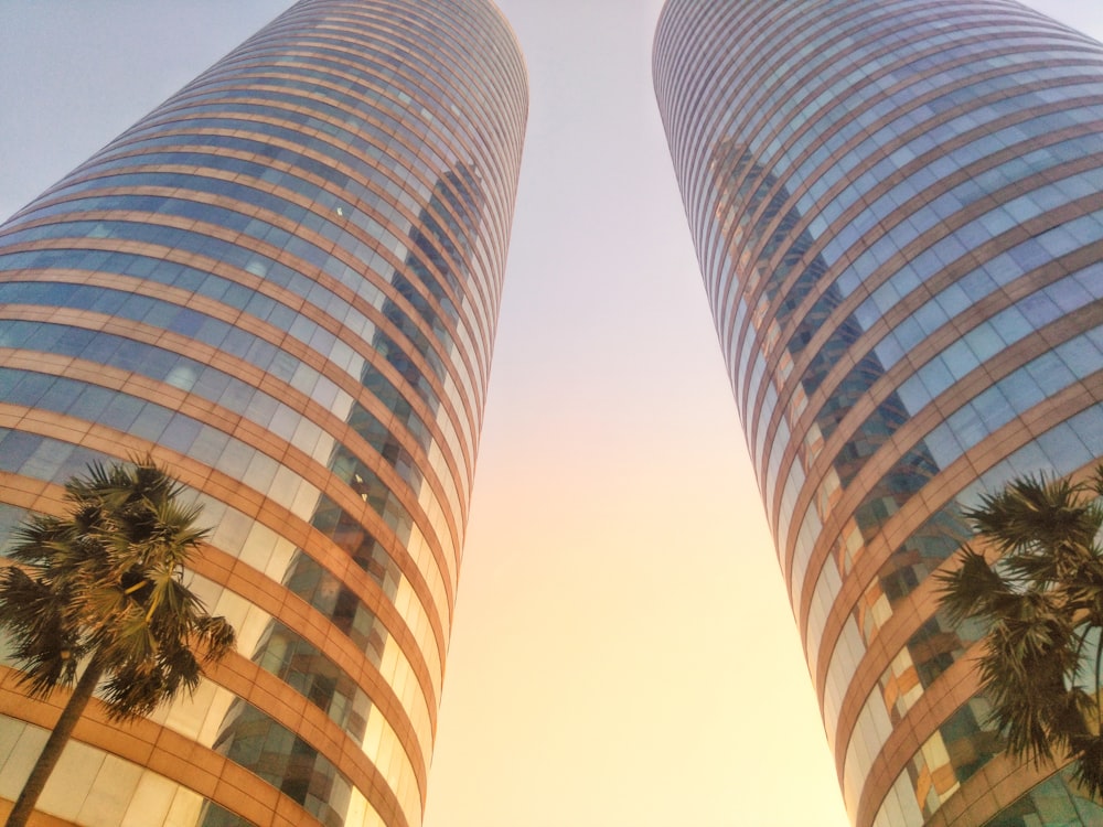 two tall buildings with palm trees in front of them