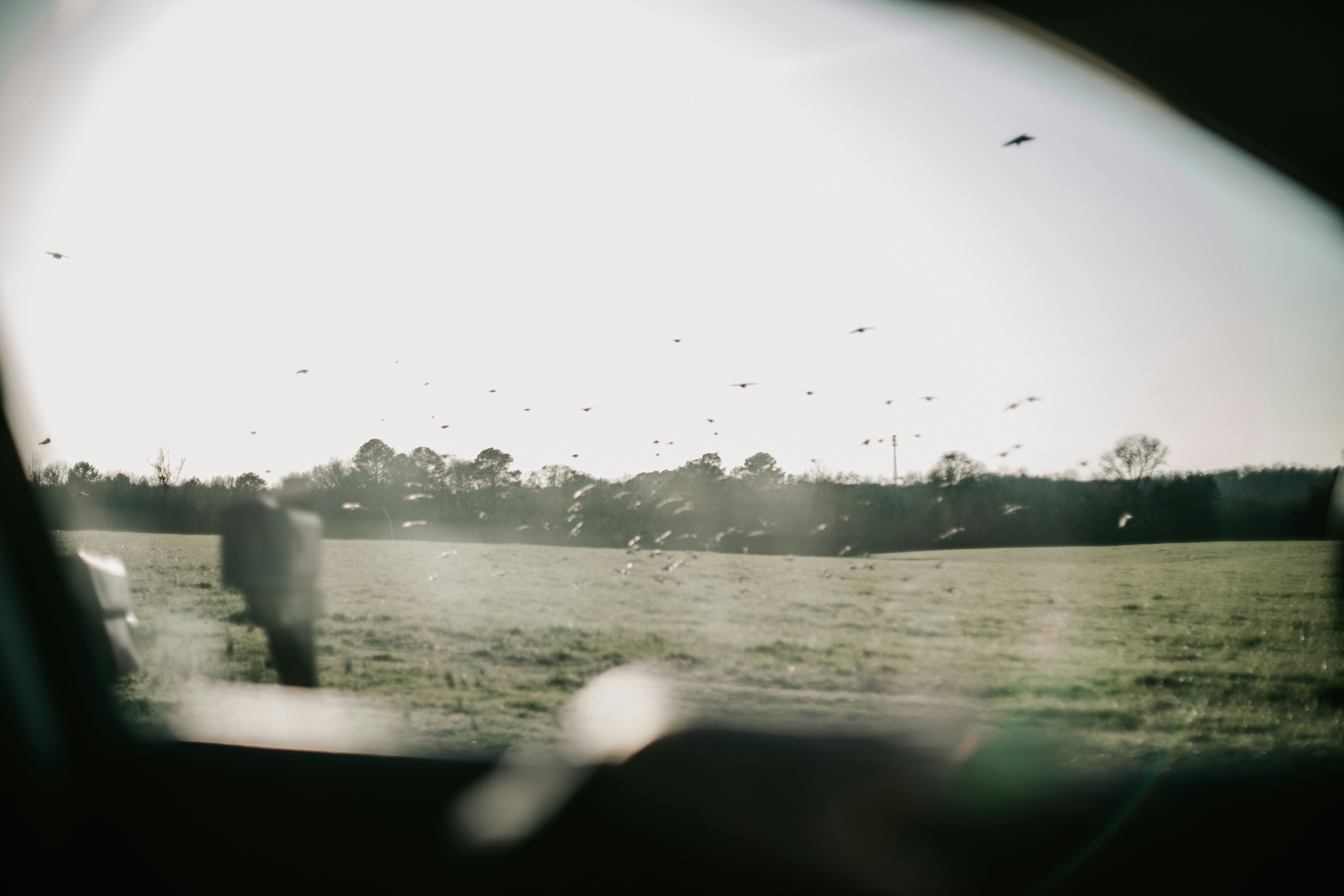 Photo by dillydallying